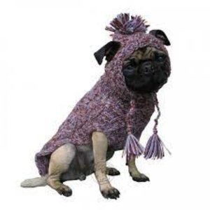 Luxury Alpaca Dog Sweater with Hat